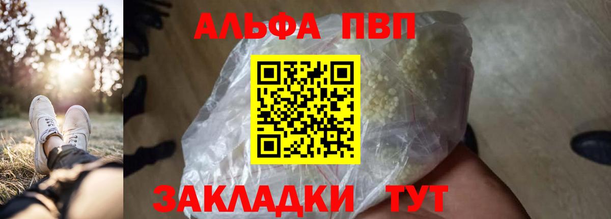 Альфа ПВП СК КРИС Обь