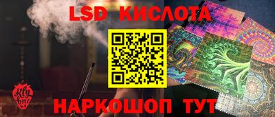 индика Славгород