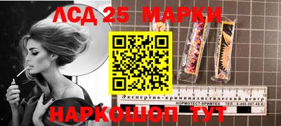 шишки Сланцы