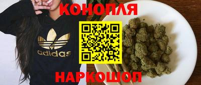 шишки Сланцы