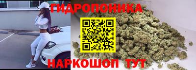 индика Славгород