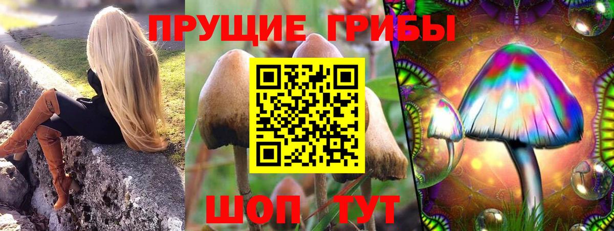 Галлюциногенные грибы мухоморы  Вход с VPN  Обь 