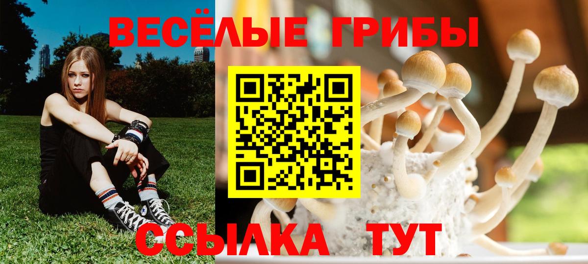 Псилоцибиновые грибы мухоморы Обь